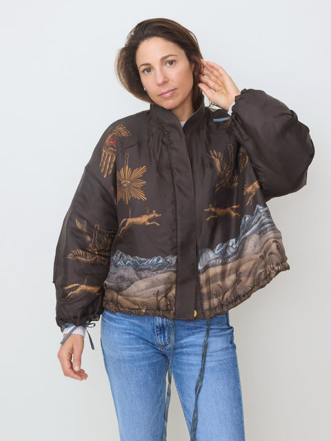 Secrets of the Bison Reversible Bomber