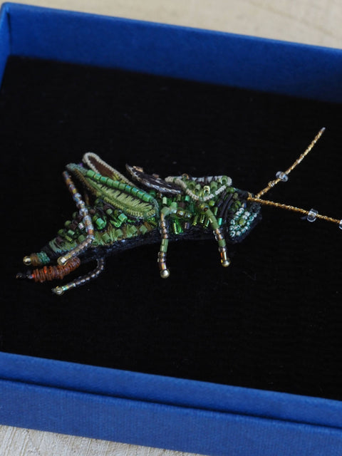 Two Stripped Grasshopper Brooch