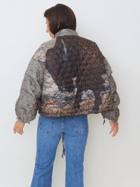 Secrets of the Bison Reversible Bomber