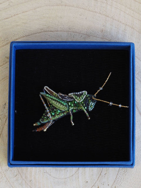 Two Stripped Grasshopper Brooch
