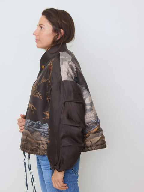 Secrets of the Bison Reversible Bomber