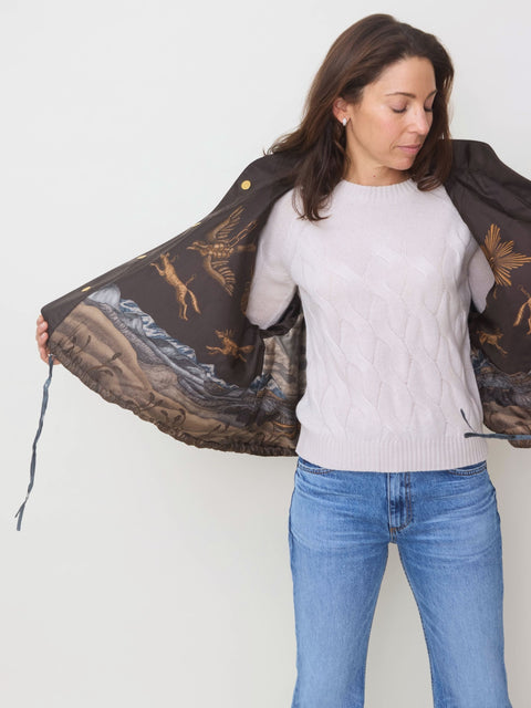 Secrets of the Bison Reversible Bomber