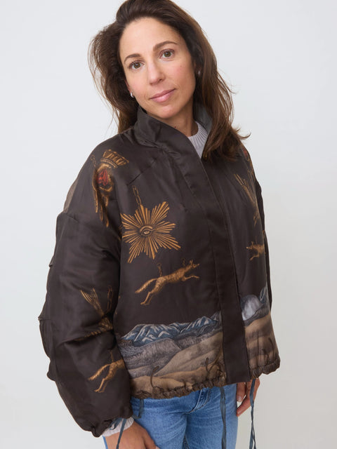 Secrets of the Bison Reversible Bomber
