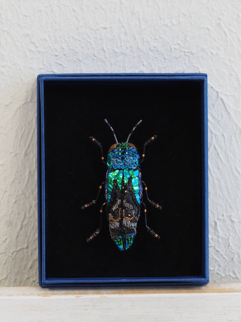 Ulkei Beetle Brooch