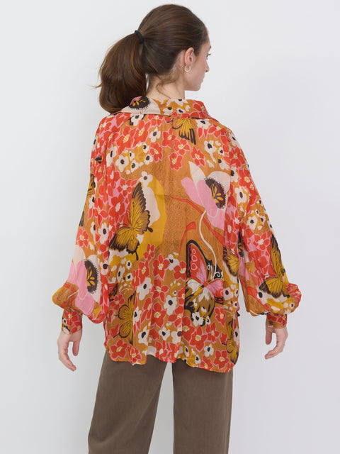 Emery, Marigold Meadow