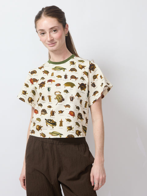 Turtle Tommy Tee
