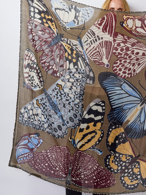 Papillons Carre, Kaki