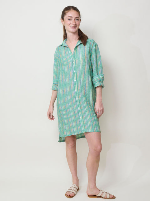 Hunter, Green/Yellow Stripe