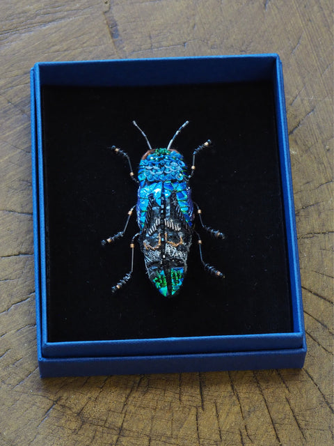 Ulkei Beetle Brooch