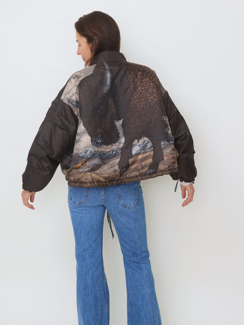 Secrets of the Bison Reversible Bomber