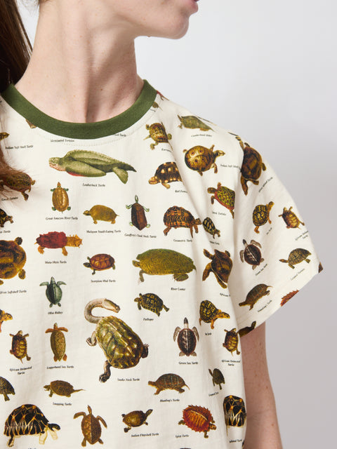 Turtle Tommy Tee