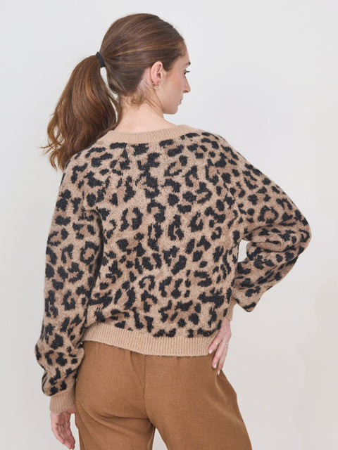 Windsor Cardigan, Leopard