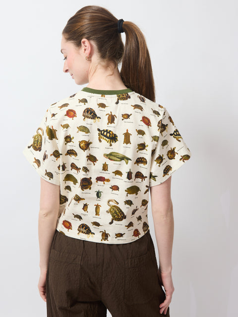 Turtle Tommy Tee