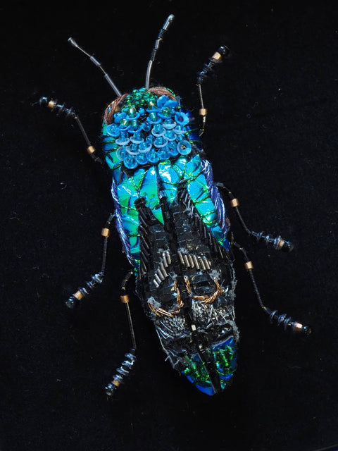 Ulkei Beetle Brooch